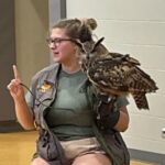 Hoosier Eurasian Eagle Owl