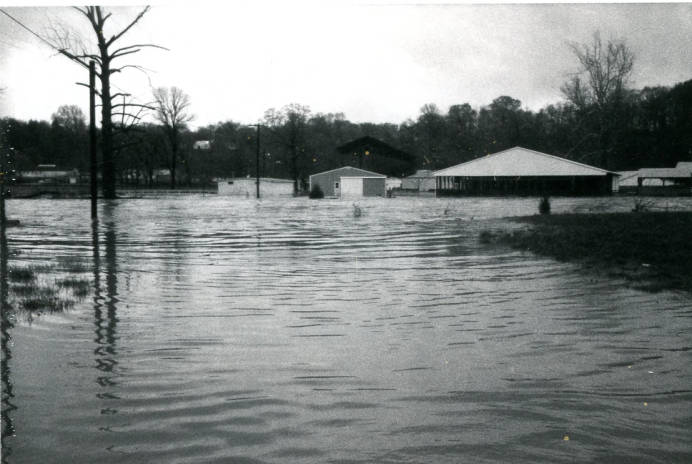 flood4